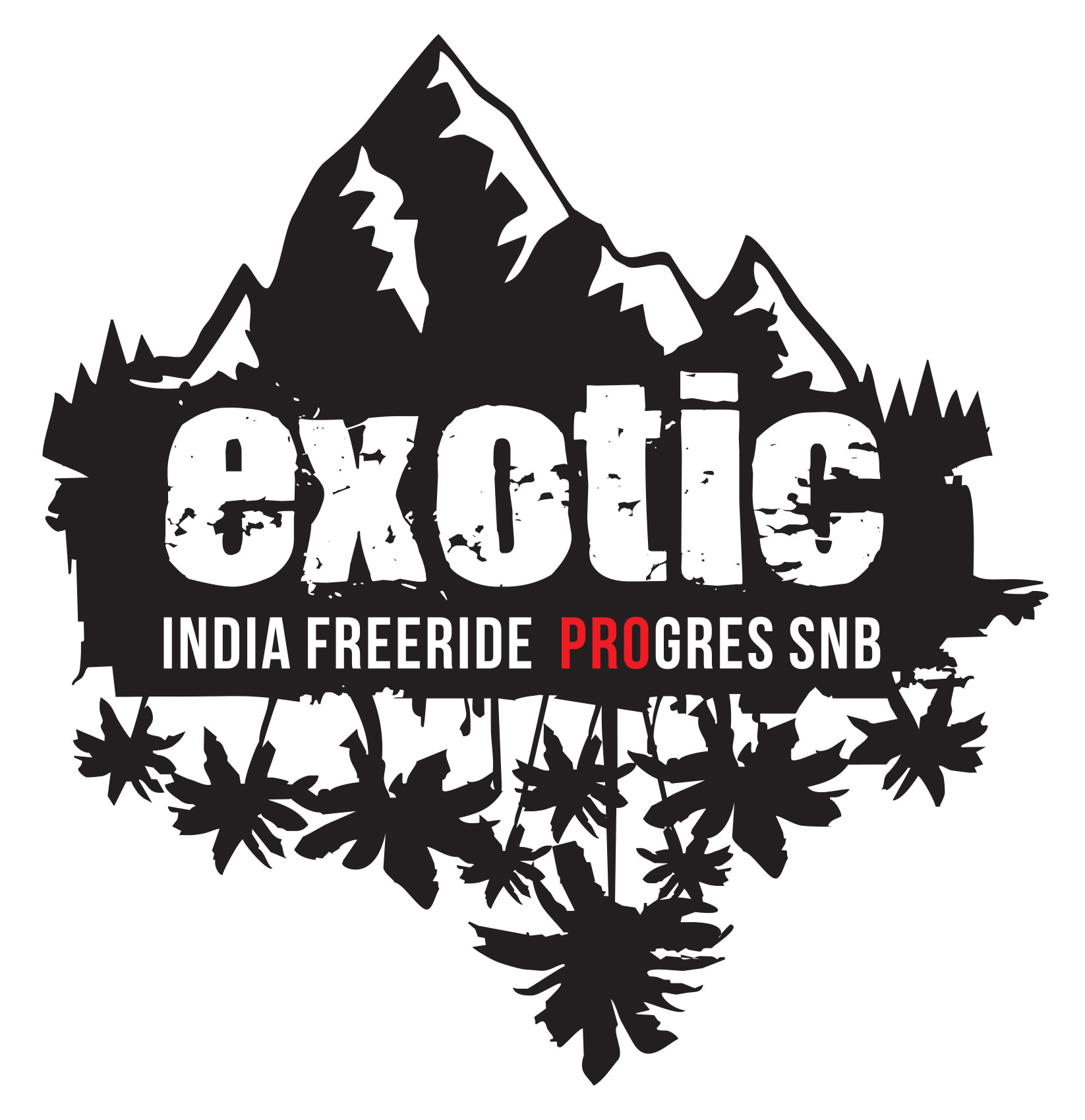 Exotic-Freeride-Camp-Indie-2